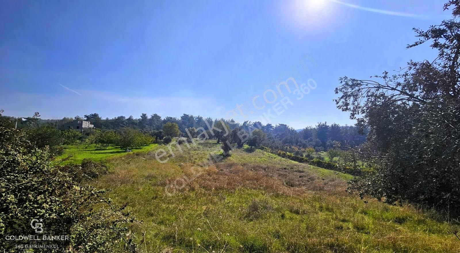 İzmir Buca Doğancılar Köye Yakın Tek Tapu 7168 M2 Satılık Tarla - Görsel 9