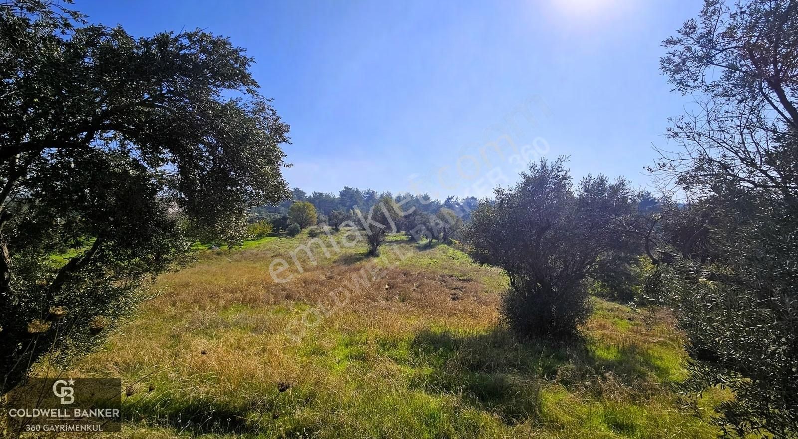 İzmir Buca Doğancılar Köye Yakın Tek Tapu 7168 M2 Satılık Tarla - Görsel 12