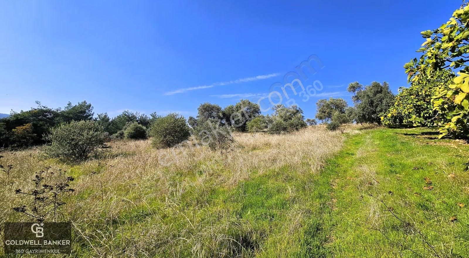 İzmir Buca Doğancılar Köye Yakın Tek Tapu 7168 M2 Satılık Tarla - Görsel 22