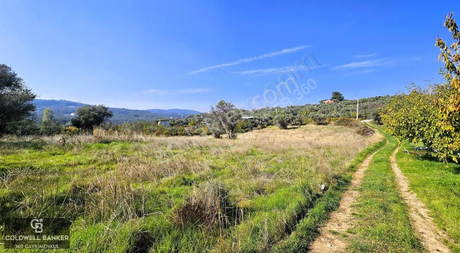 İzmir Buca Doğancılar Köye Yakın Tek Tapu 7168 M2 Satılık Tarla - Görsel 15