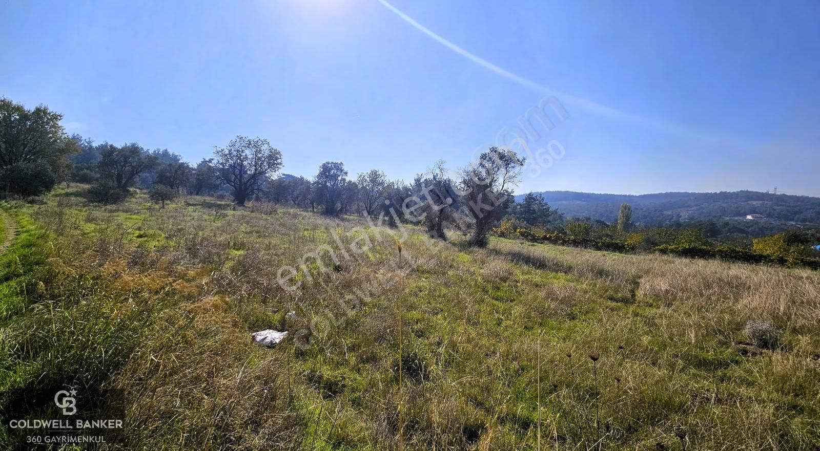 İzmir Buca Doğancılar Köye Yakın Tek Tapu 7168 M2 Satılık Tarla - Görsel 21