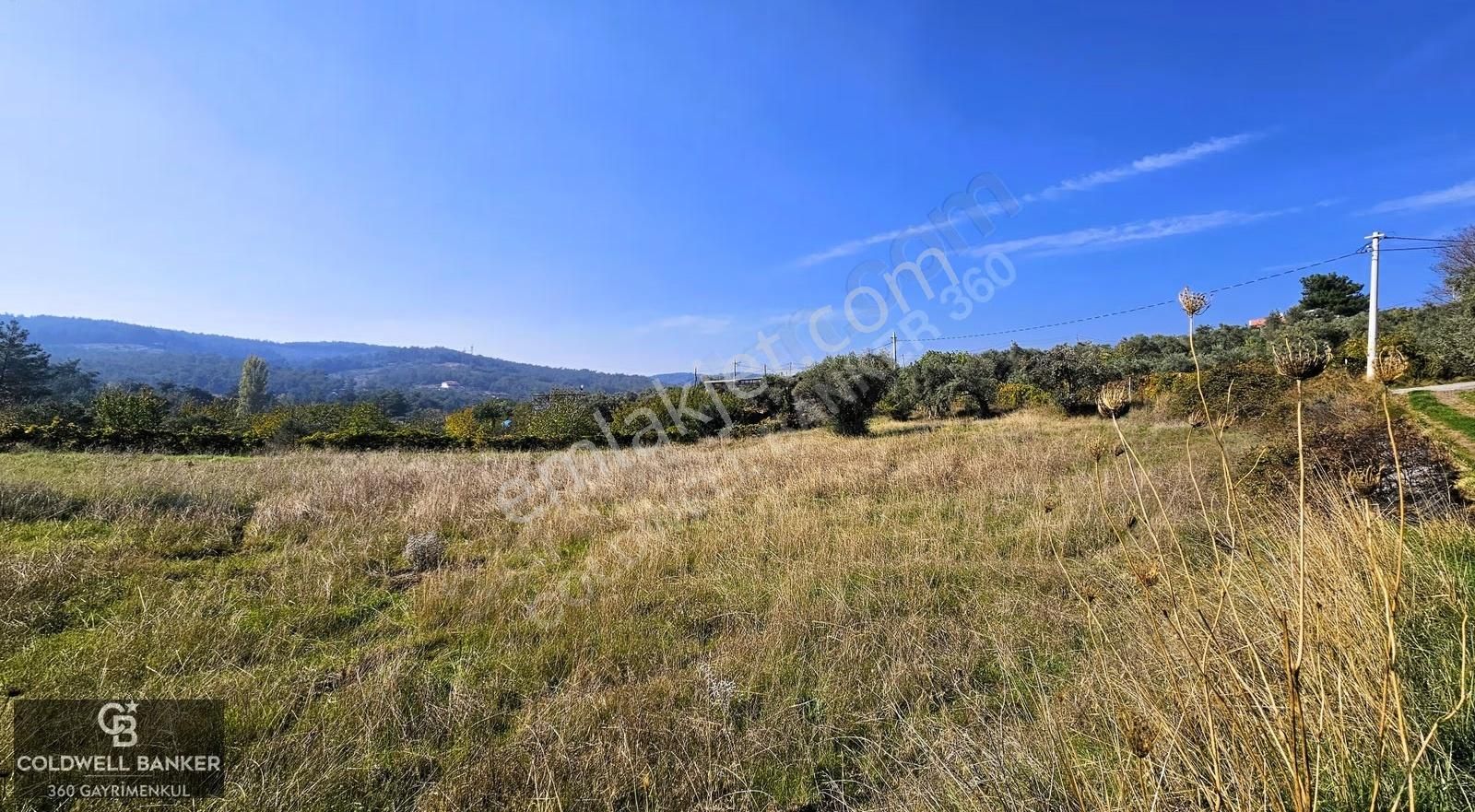 İzmir Buca Doğancılar Köye Yakın Tek Tapu 7168 M2 Satılık Tarla - Görsel 16