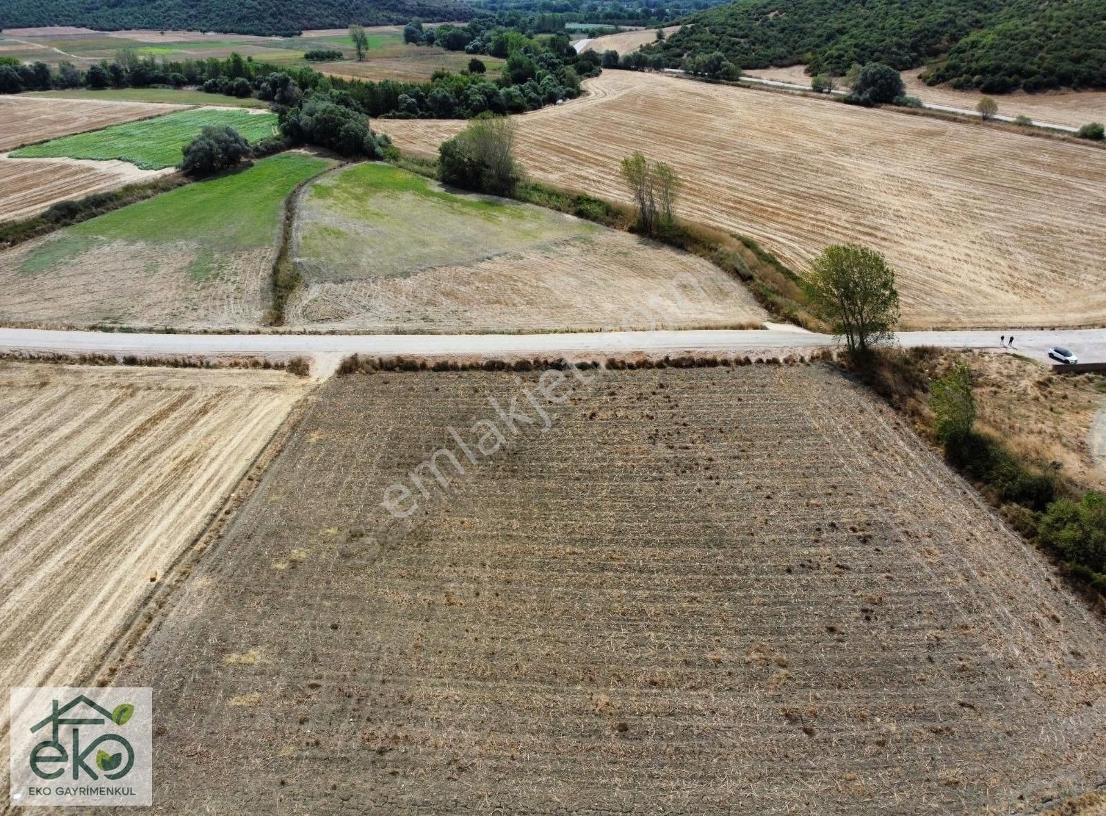 Bursa Mudanya Evciler'de Satılık Yatırım Değeri Yüksek Arazi - Görsel 12