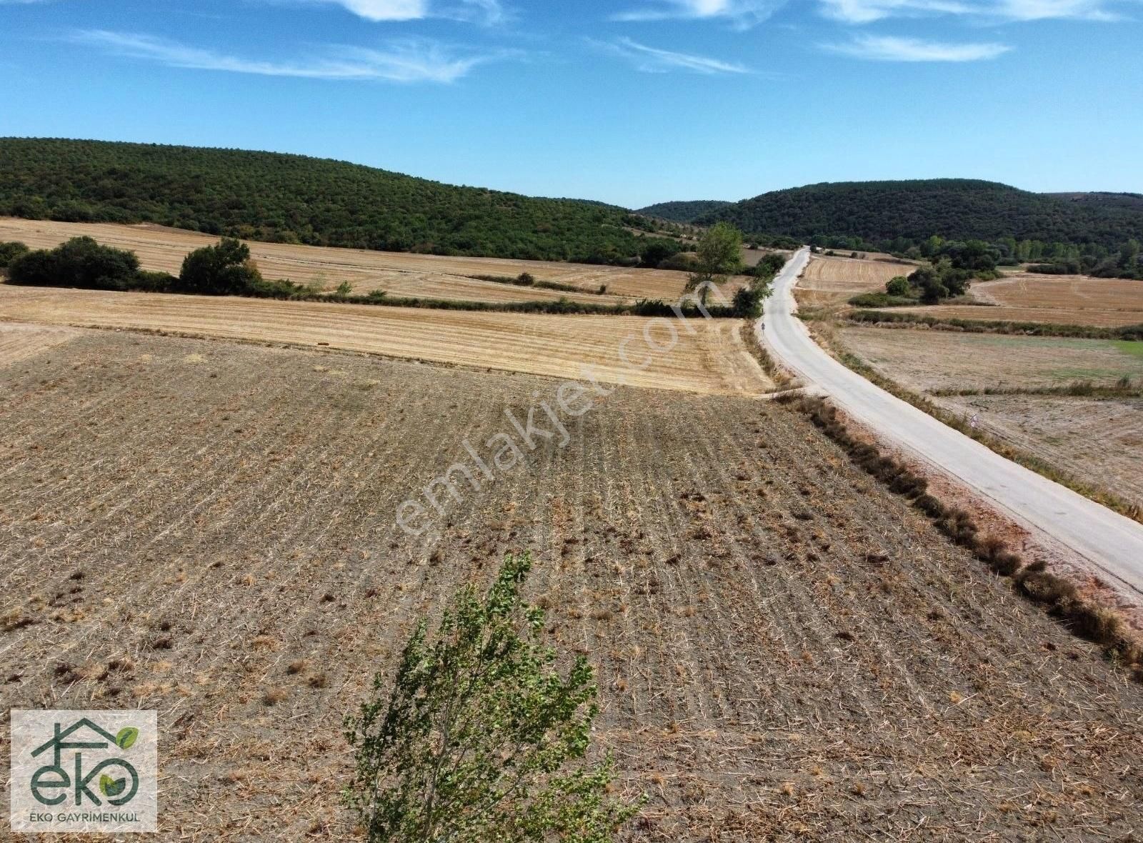 Bursa Mudanya Evciler'de Satılık Yatırım Değeri Yüksek Arazi - Görsel 3