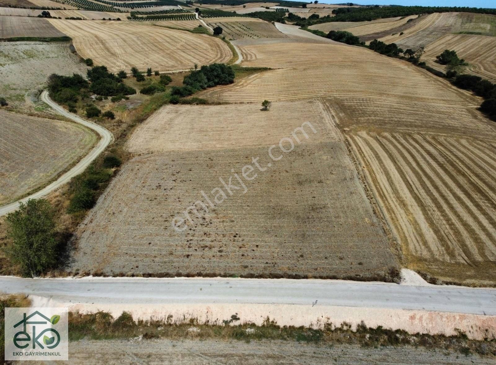 Bursa Mudanya Evciler'de Satılık Yatırım Değeri Yüksek Arazi - Görsel 16
