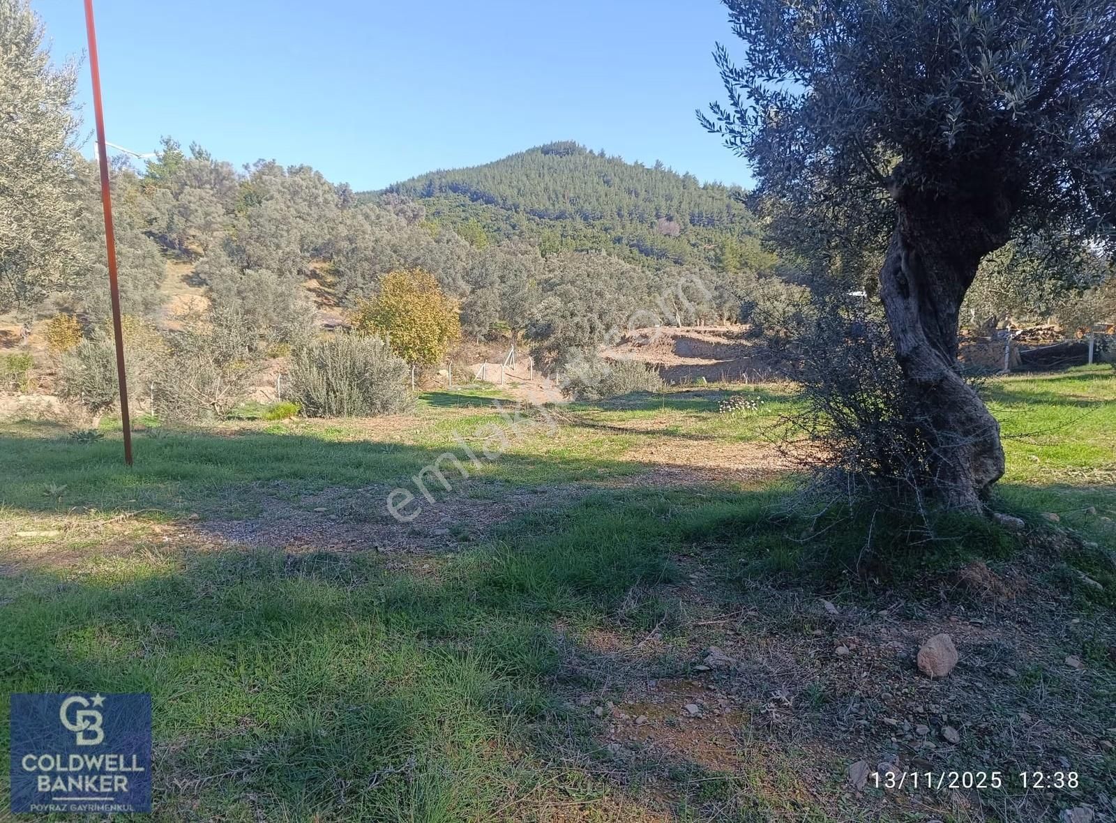 Menderes Coldwell Banker Poyraz'dan Çatalca'da Acil Satılık Arsa - Görsel 13