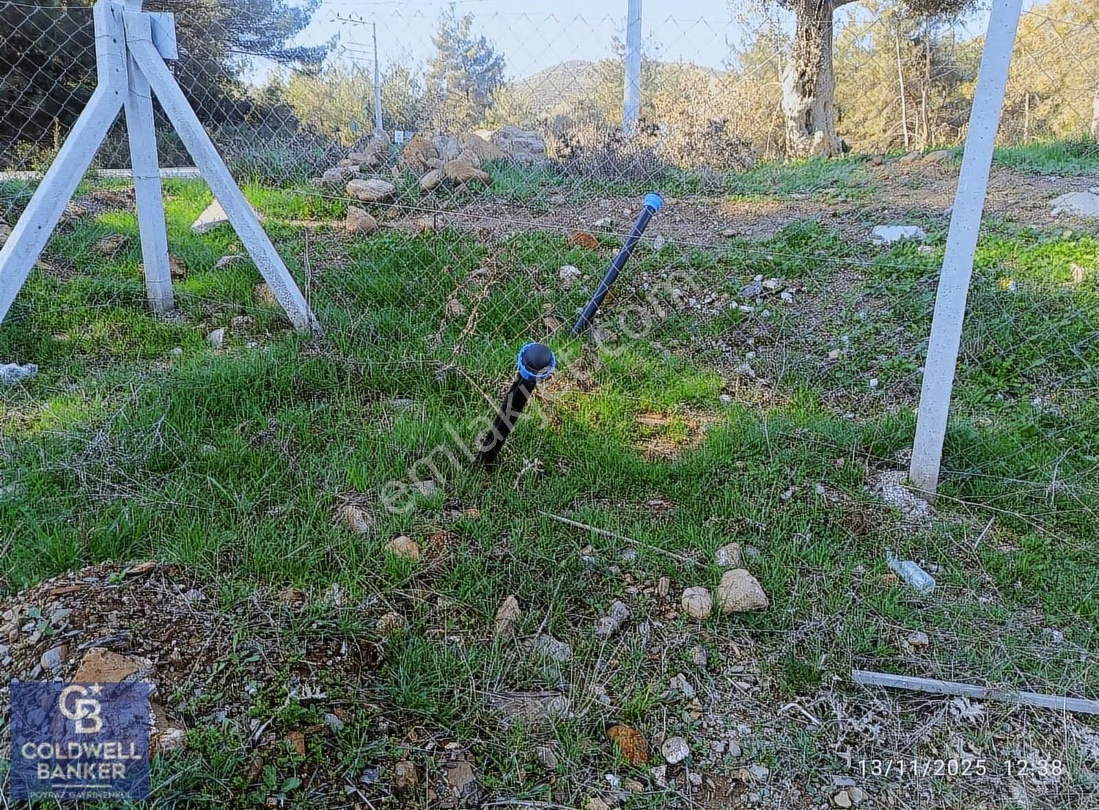 Menderes Coldwell Banker Poyraz'dan Çatalca'da Acil Satılık Arsa - Görsel 10