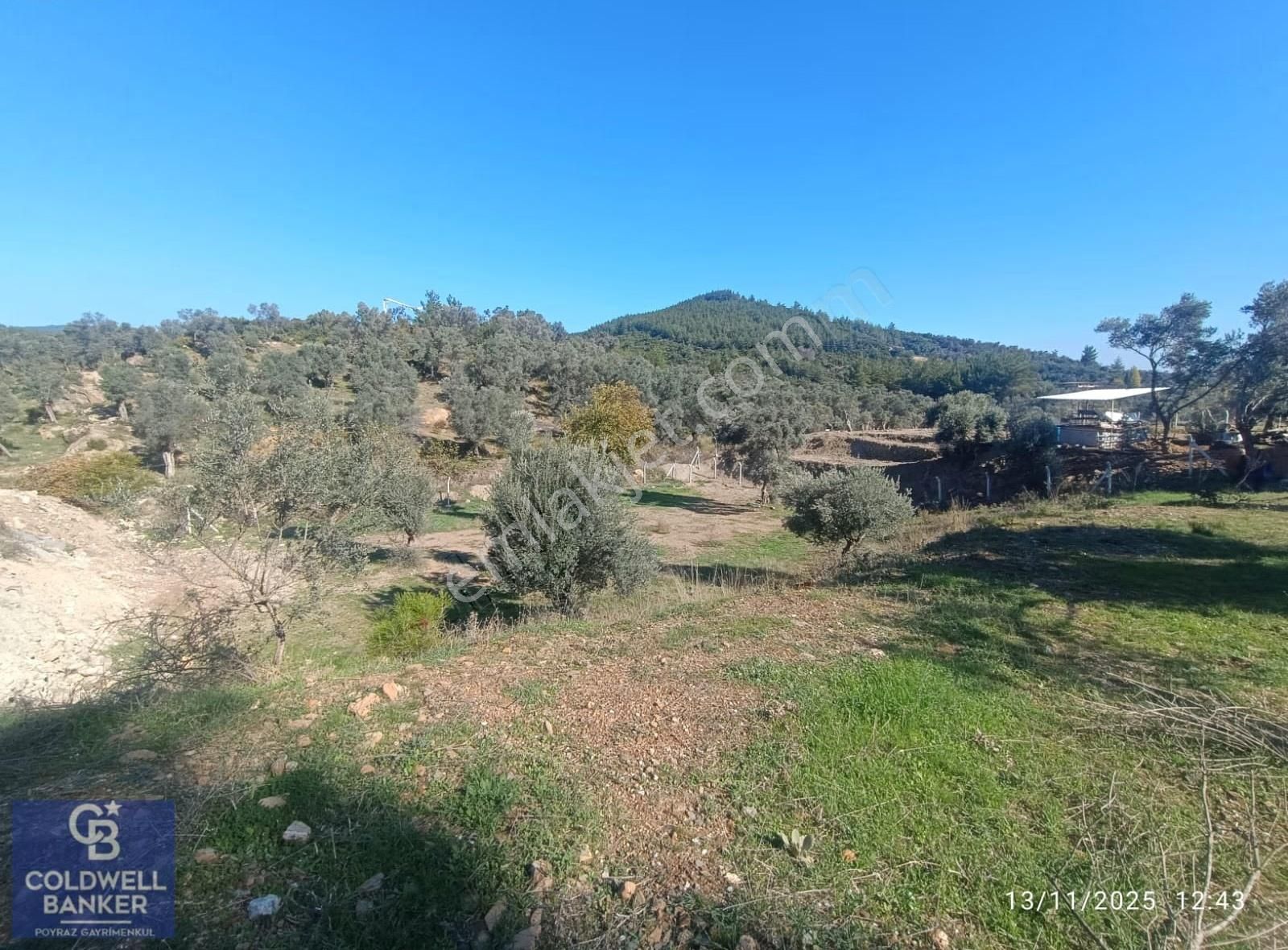 Menderes Coldwell Banker Poyraz'dan Çatalca'da Acil Satılık Arsa - Görsel 20