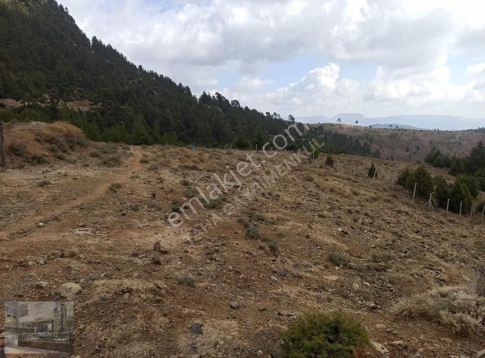 Mükemmel Konumlu Yaylalık 3540m2 Arazi Deniz Ve Mersin Manzaralı - Görsel 6