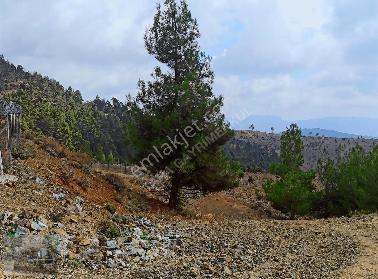 Mükemmel Konumlu Yaylalık 3540m2 Arazi Deniz Ve Mersin Manzaralı - Görsel 8