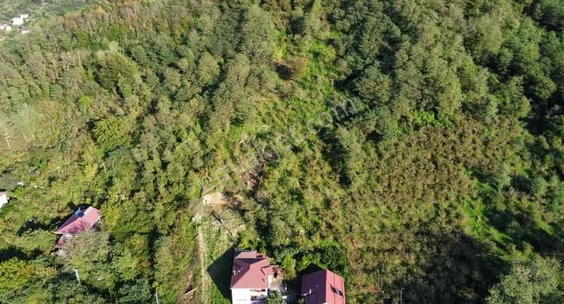 Mabel'den Perşembe Çaytepe'de Denize Sıfır Satılık Arsa - Görsel 5