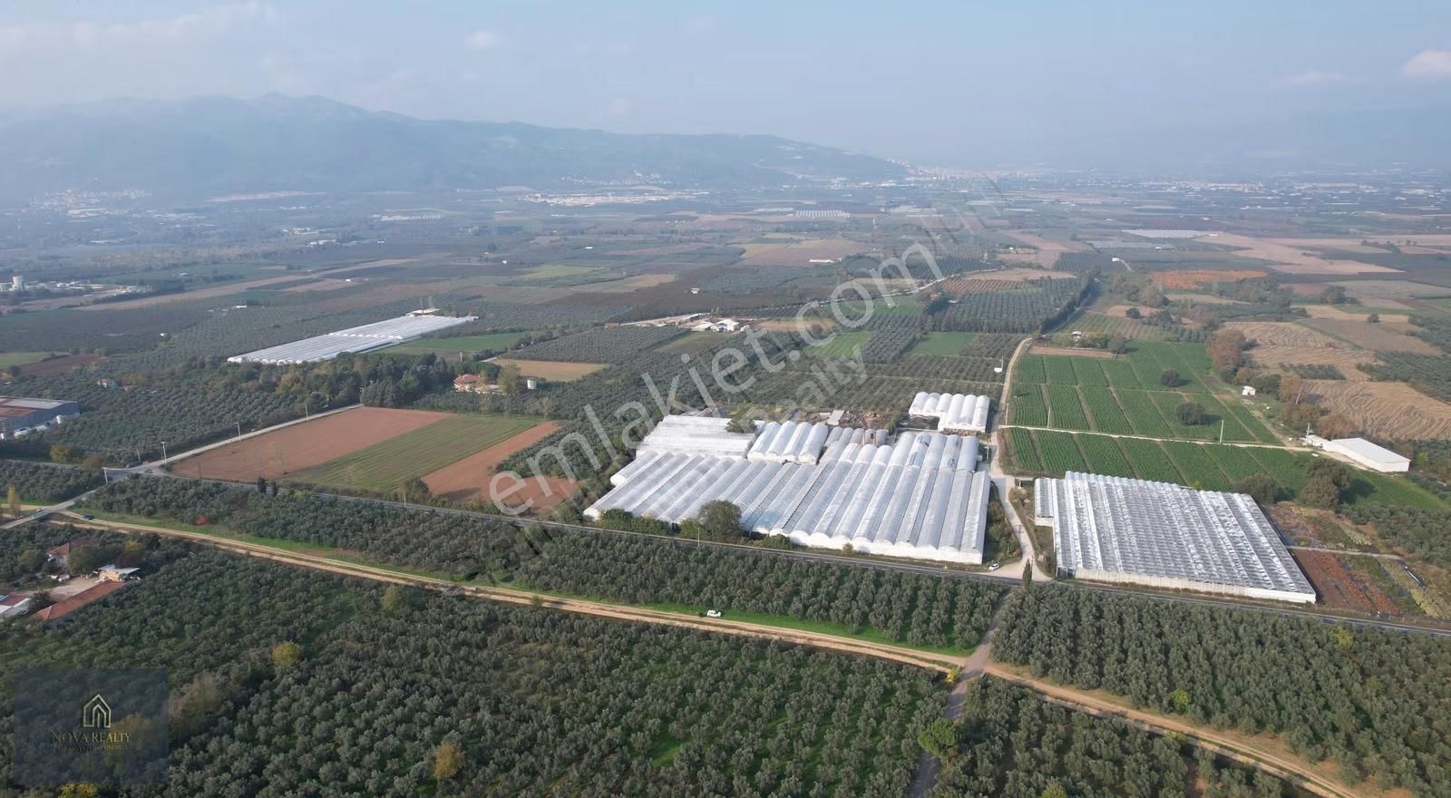 Nova Realty'den Gürle'de Asfalt Cepheli Zeytinlik - Görsel 21