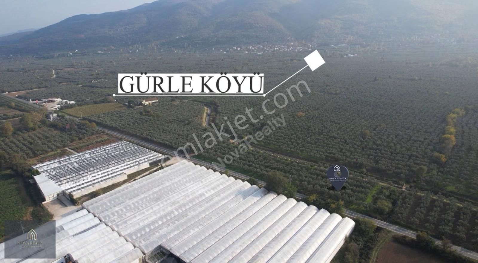 Nova Realty'den Gürle'de Asfalt Cepheli Zeytinlik - Görsel 22