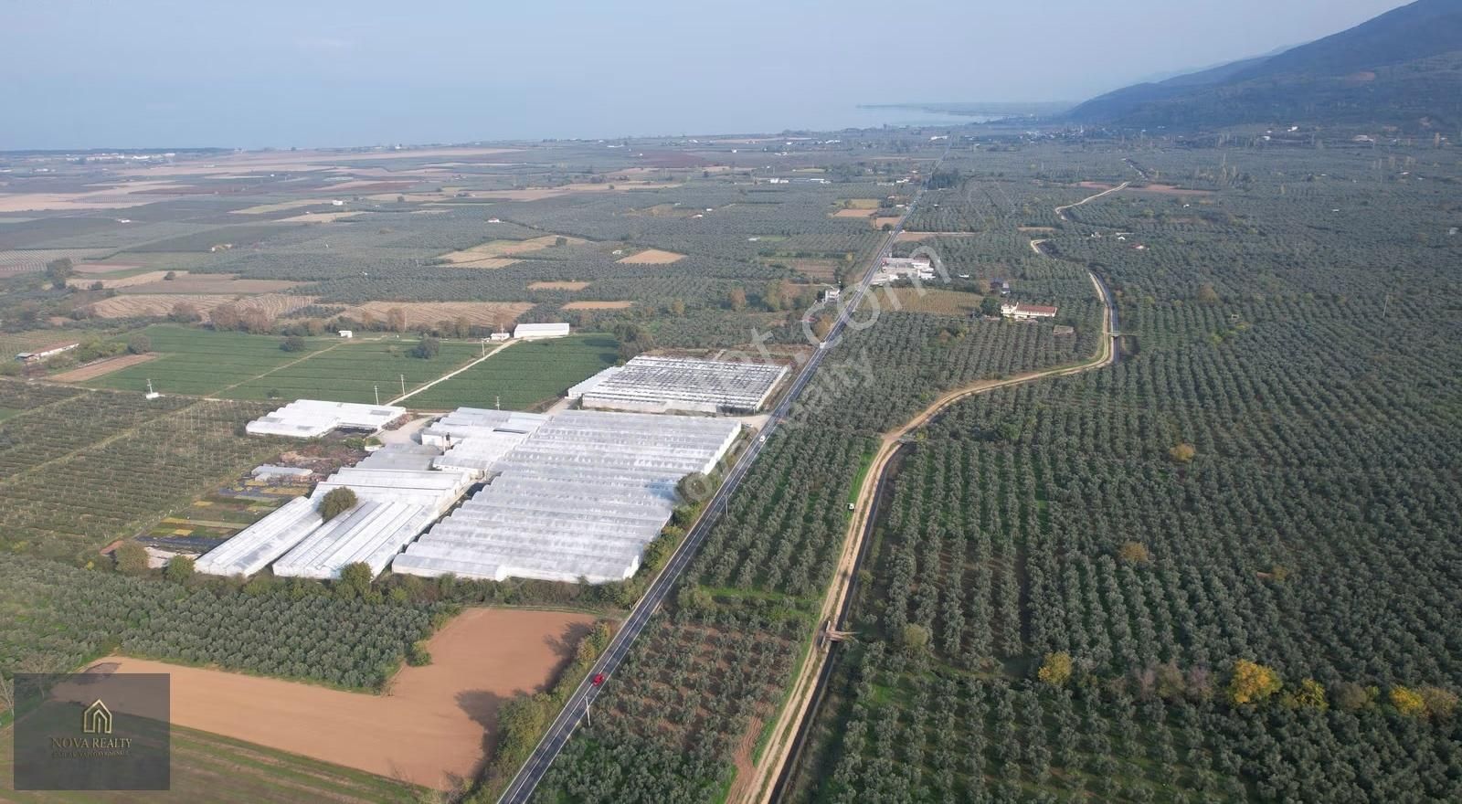 Nova Realty'den Gürle'de Asfalt Cepheli Zeytinlik - Görsel 23