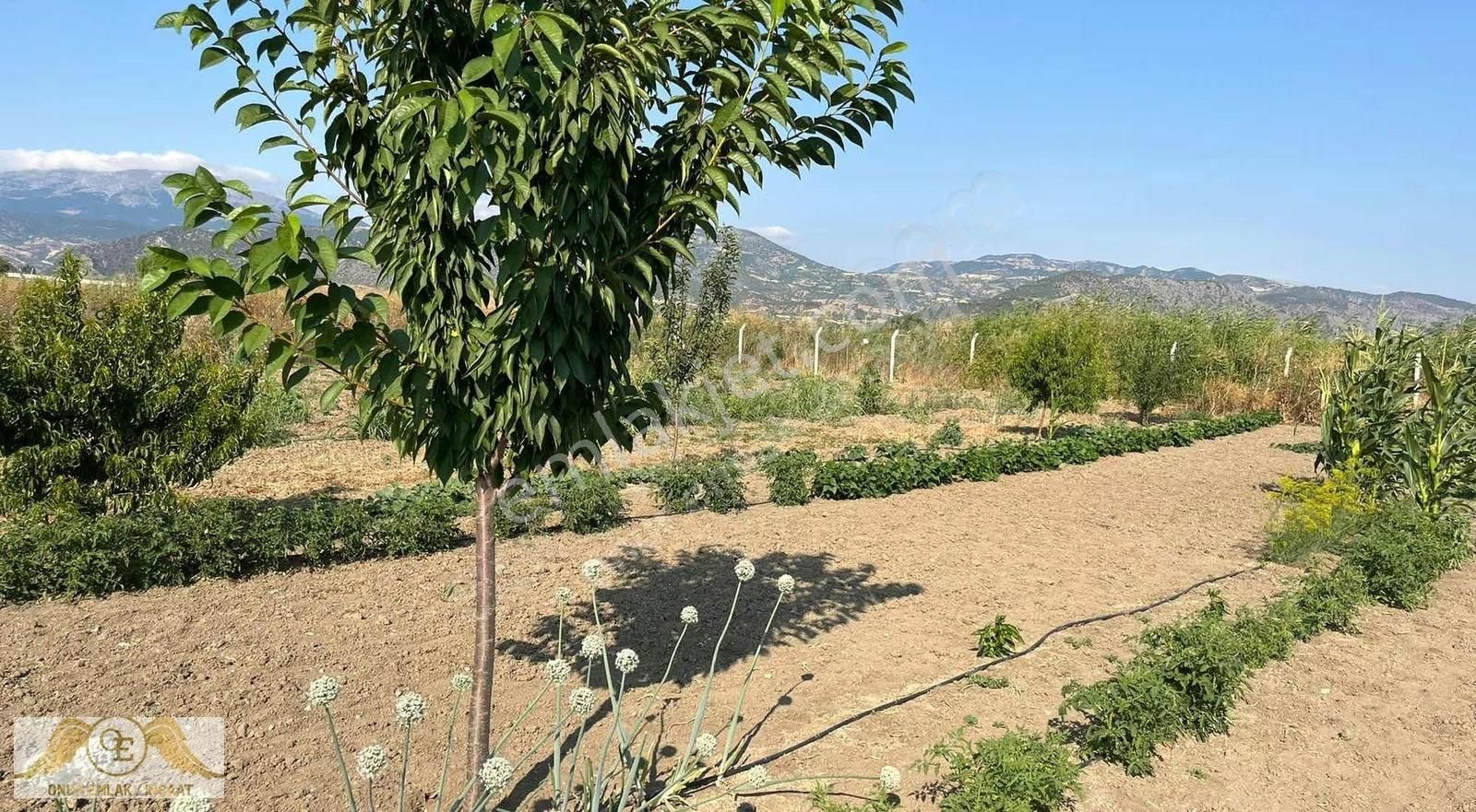 Amasya Doğakent Konut Yapı Kooperatifinde Satılık Hobi Bahçesi - Görsel 2