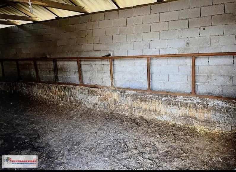 Tekirdağ Saray Kurtdere Meydan Müstakil Bahçeli Gecekondu - Görsel 13