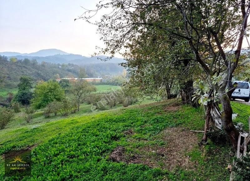 Sakarya-karapürçek-mesudiye Mahalle Merkezinde Satılık Tarla - Görsel 7