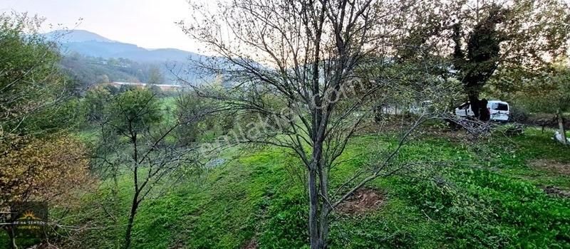 Sakarya-karapürçek-mesudiye Mahalle Merkezinde Satılık Tarla - Görsel 2