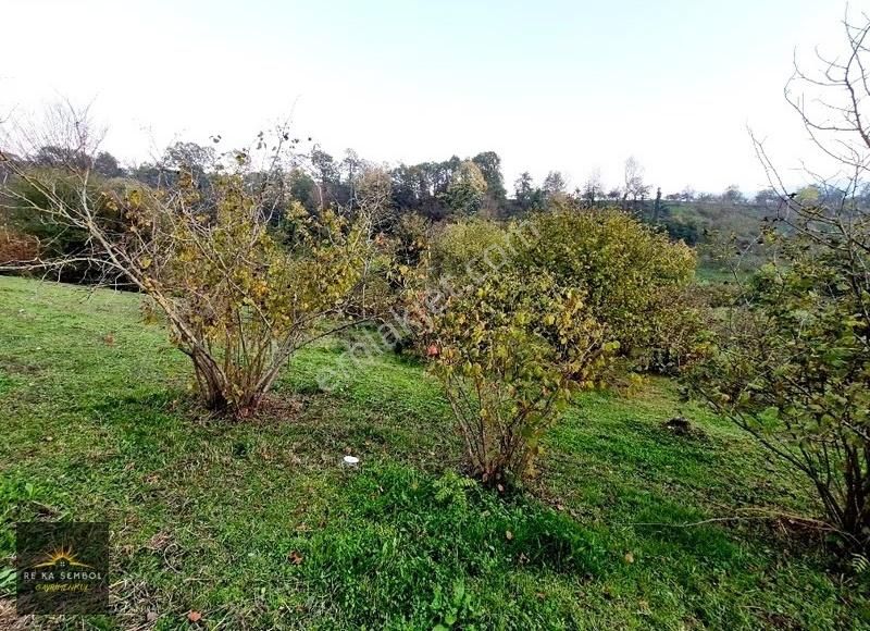 Sakarya-karapürçek-mesudiye Mahalle Merkezinde Satılık Tarla - Görsel 10