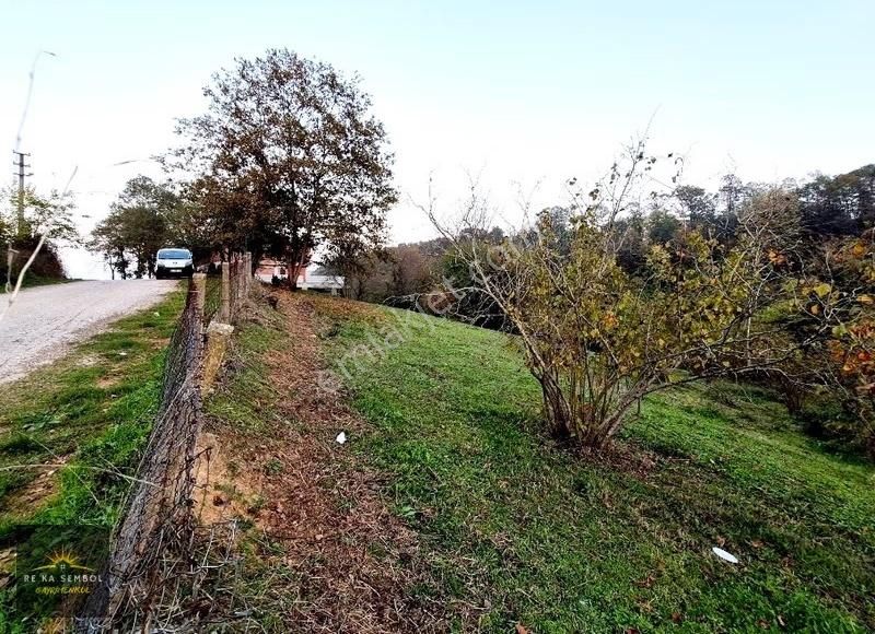 Sakarya-karapürçek-mesudiye Mahalle Merkezinde Satılık Tarla - Görsel 9