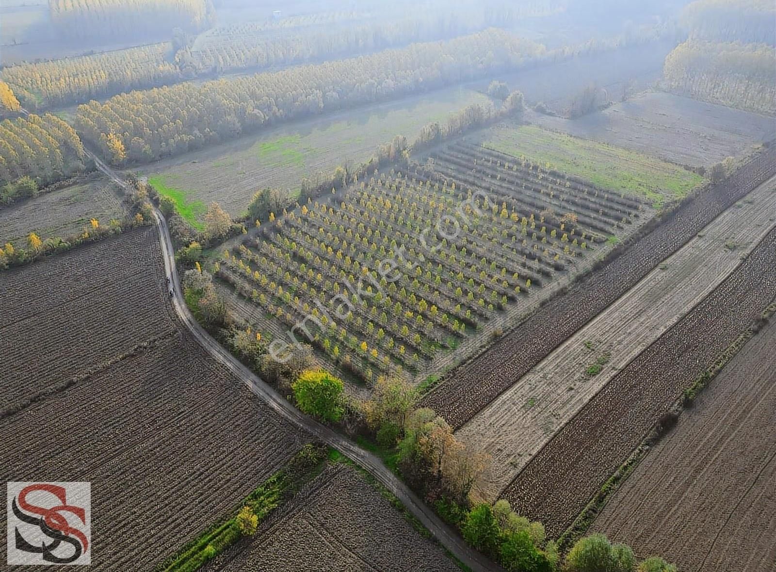 Akyazı D-100 Karayoluna 700 Metre 10.635 M² Yatırımlık Tarla - Görsel 20