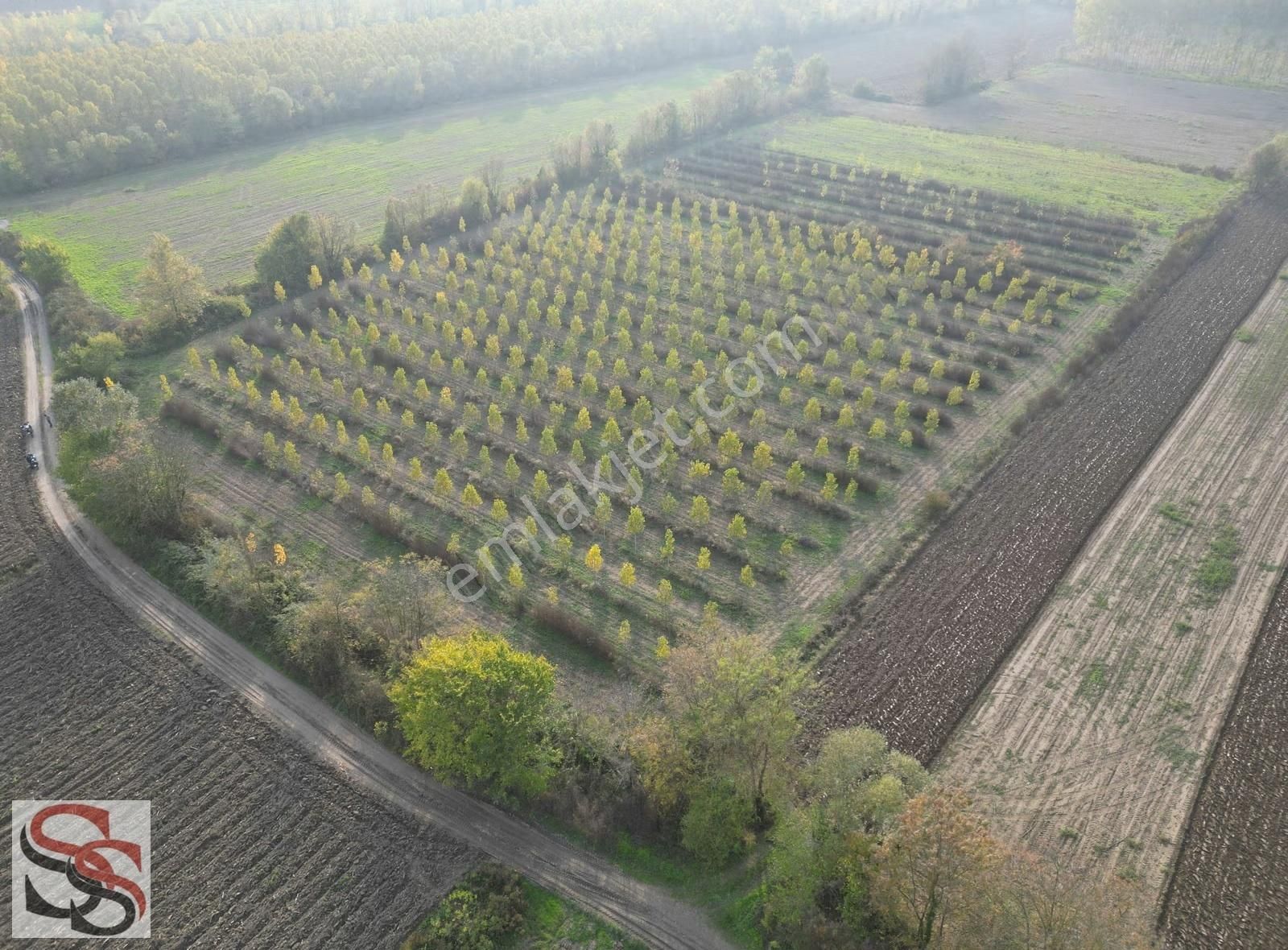 Akyazı D-100 Karayoluna 700 Metre 10.635 M² Yatırımlık Tarla - Görsel 11