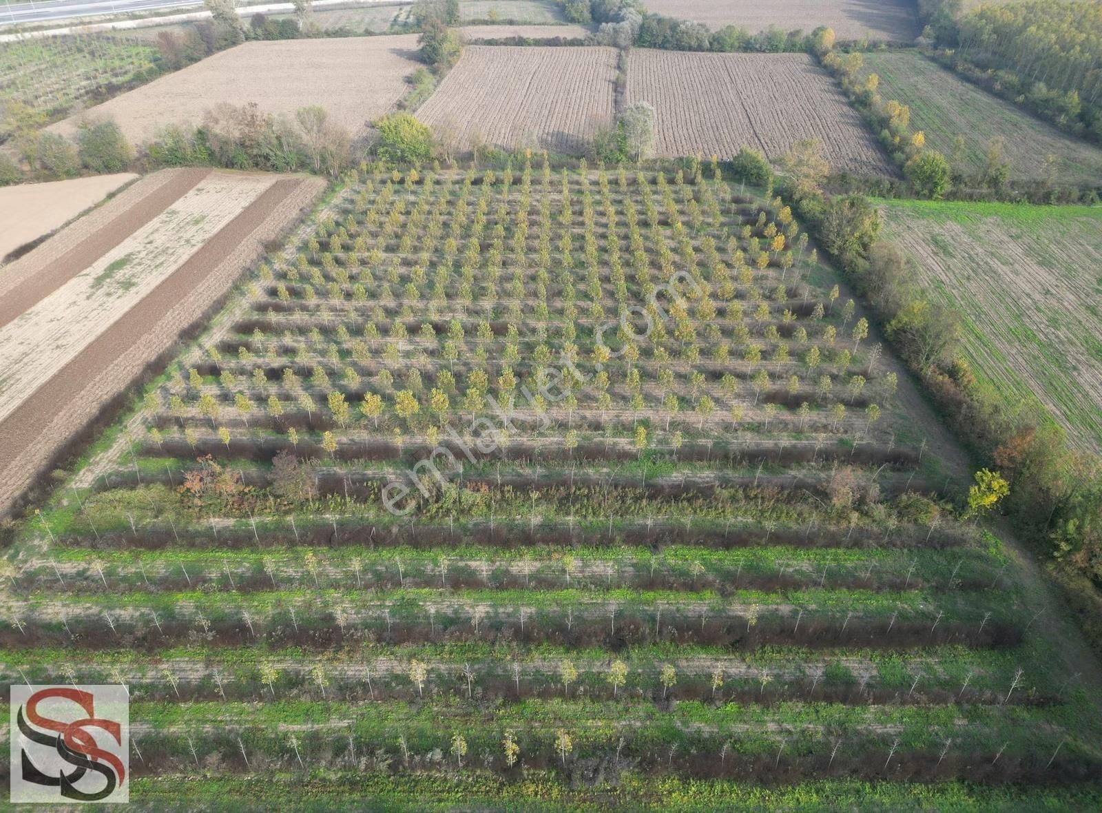 Akyazı D-100 Karayoluna 700 Metre 10.635 M² Yatırımlık Tarla - Görsel 15