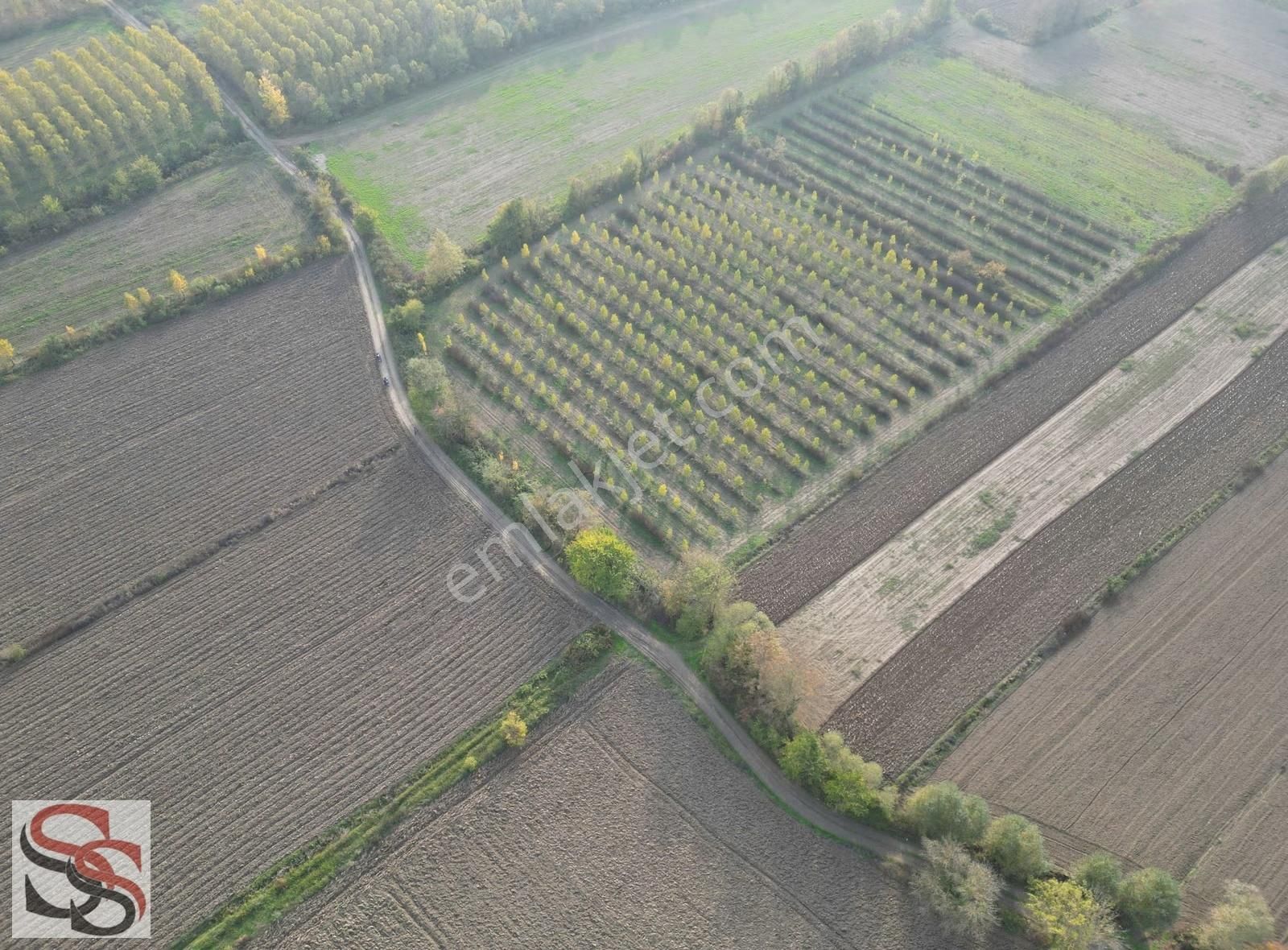 Akyazı D-100 Karayoluna 700 Metre 10.635 M² Yatırımlık Tarla - Görsel 18