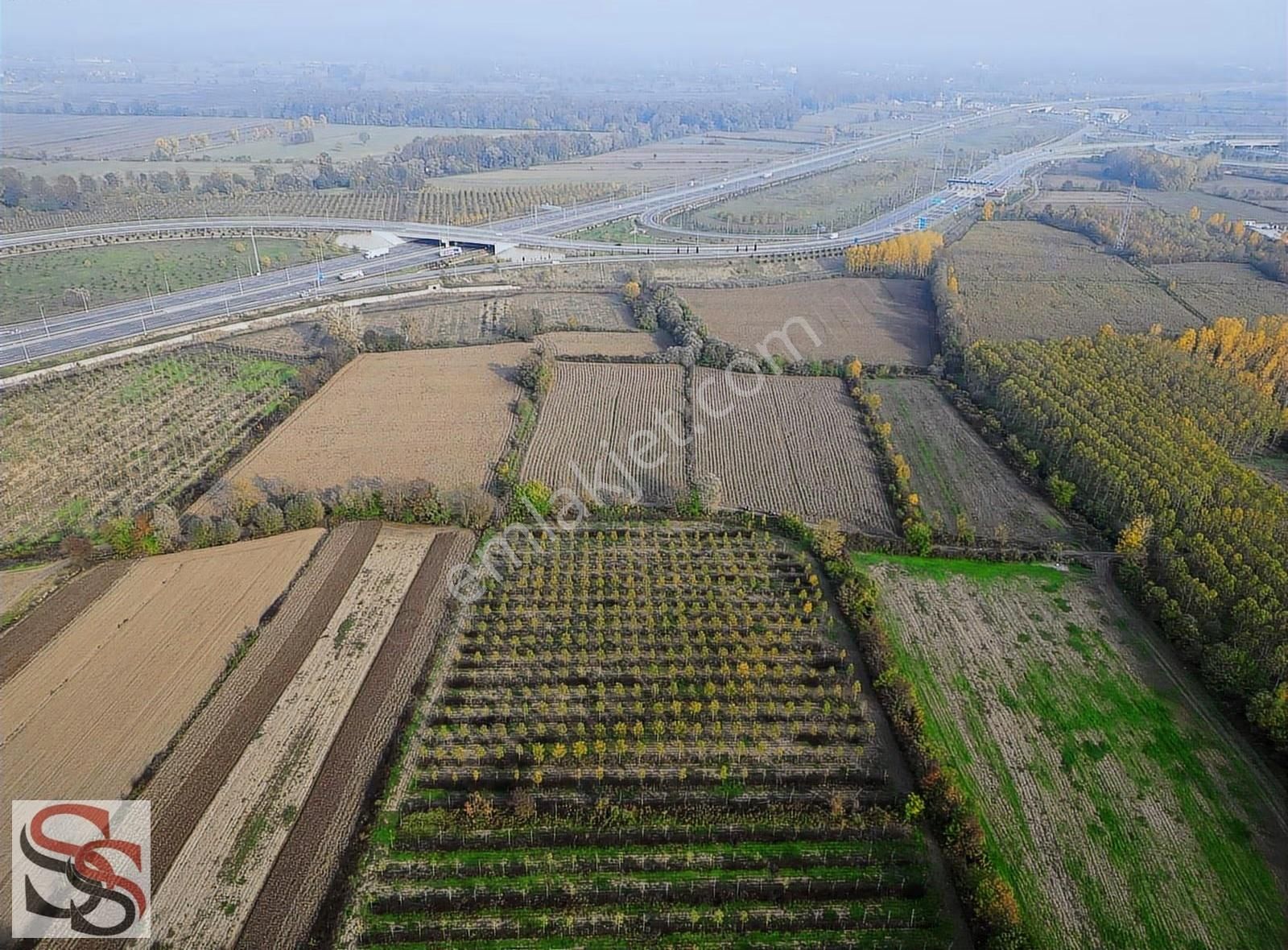 Akyazı D-100 Karayoluna 700 Metre 10.635 M² Yatırımlık Tarla - Görsel 4