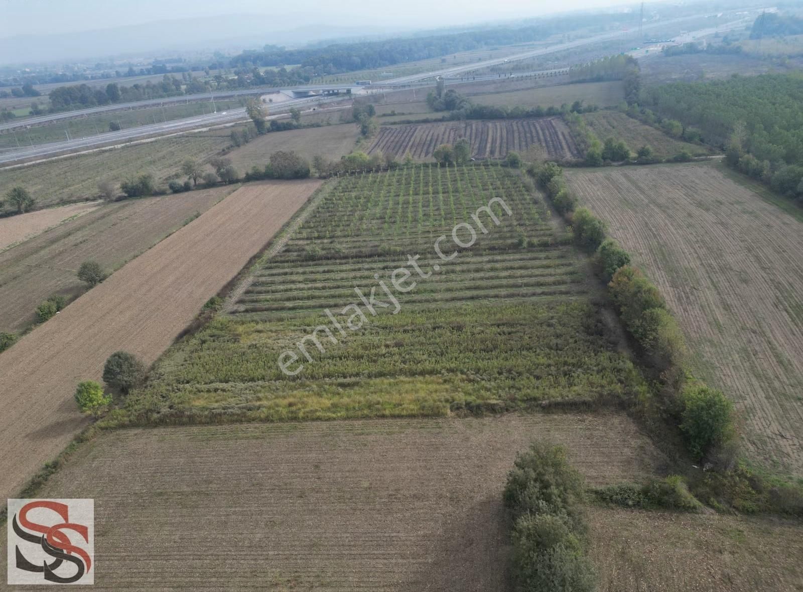 Akyazı D-100 Karayoluna 700 Metre 10.635 M² Yatırımlık Tarla - Görsel 6