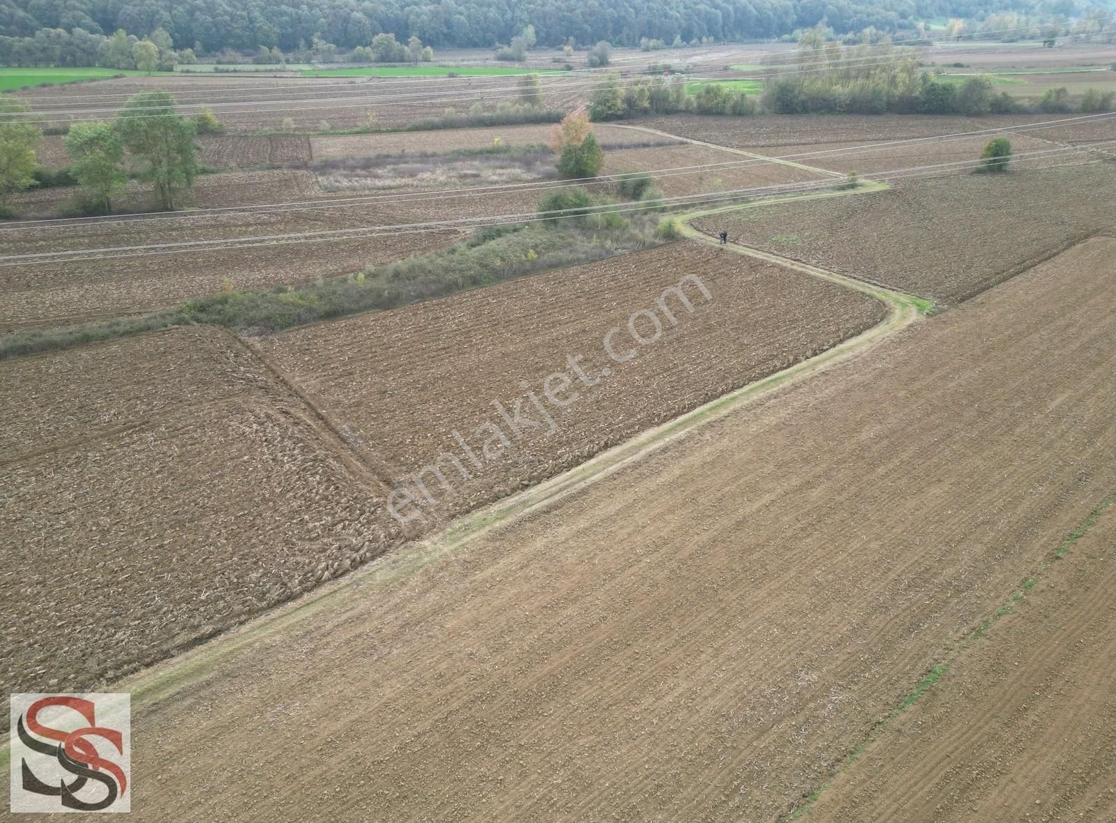 Adapazarı Örentepe'de 3,365 M² Yatırımlık Tarla - Görsel 13