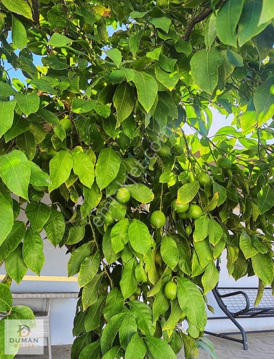Duman Emlak'tan Bölcek De Satılık Müstakil Köy Evi - Görsel 2