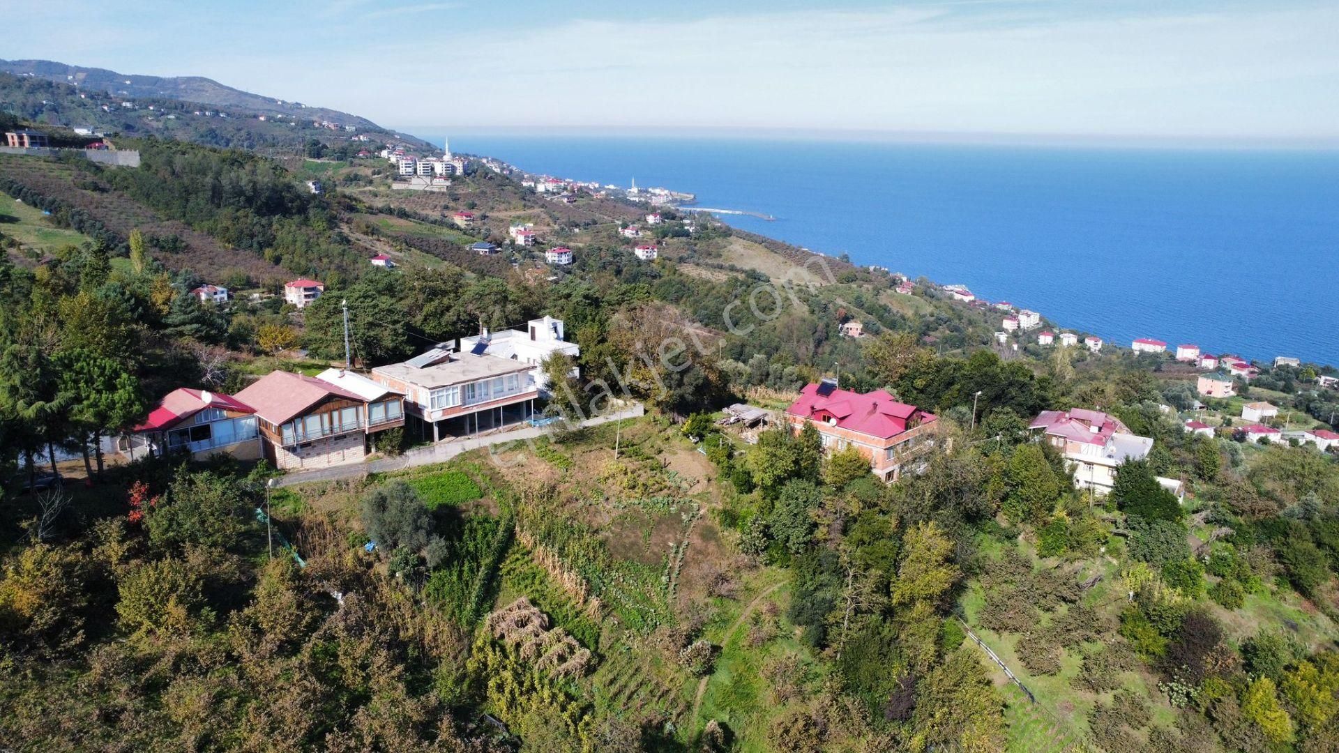 Trabzon Akçaabat Salacıkta Kiralık Eşyalı Bahçeli Ev - Görsel 4