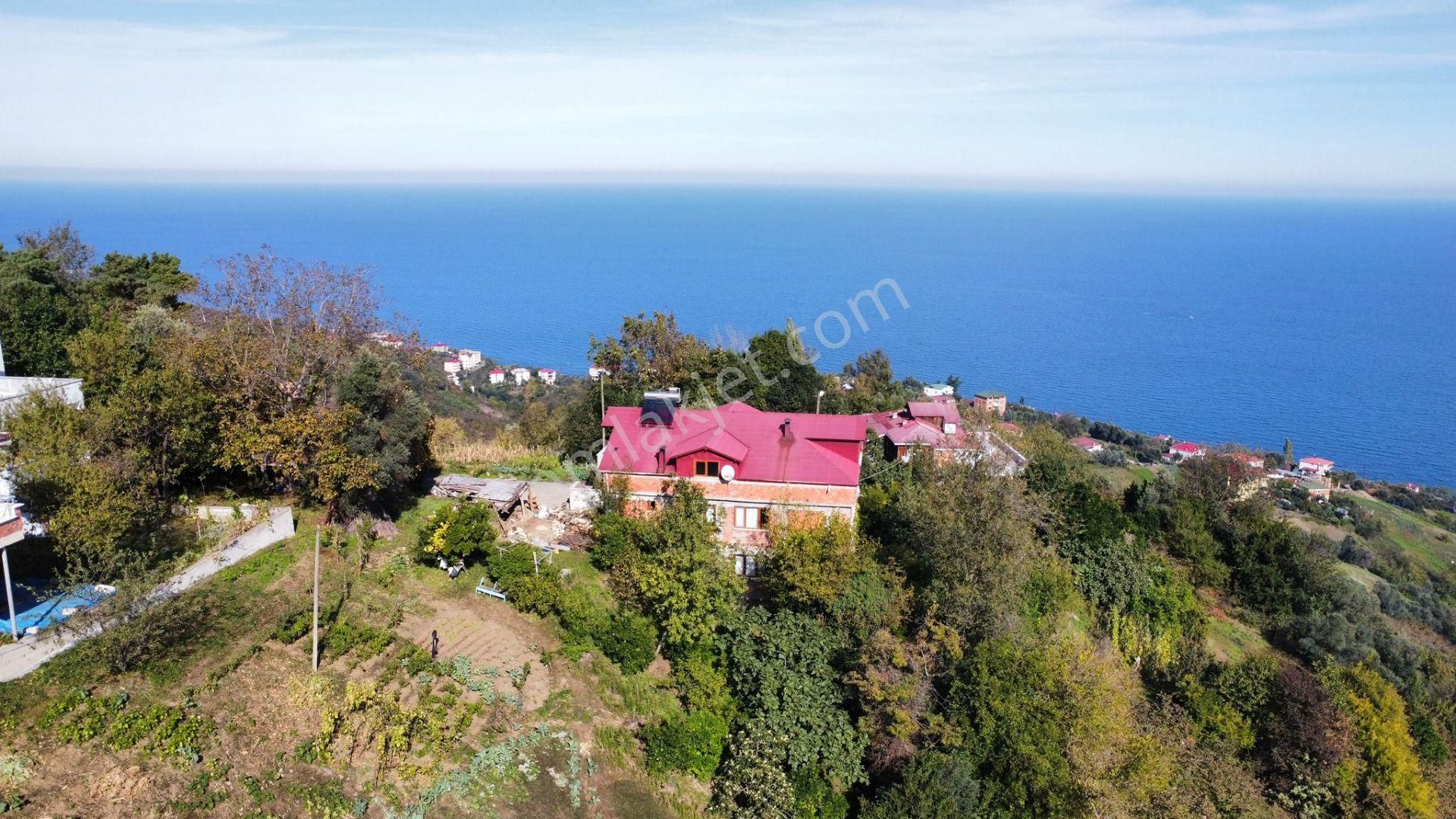 Trabzon Akçaabat Salacıkta Kiralık Eşyalı Bahçeli Ev