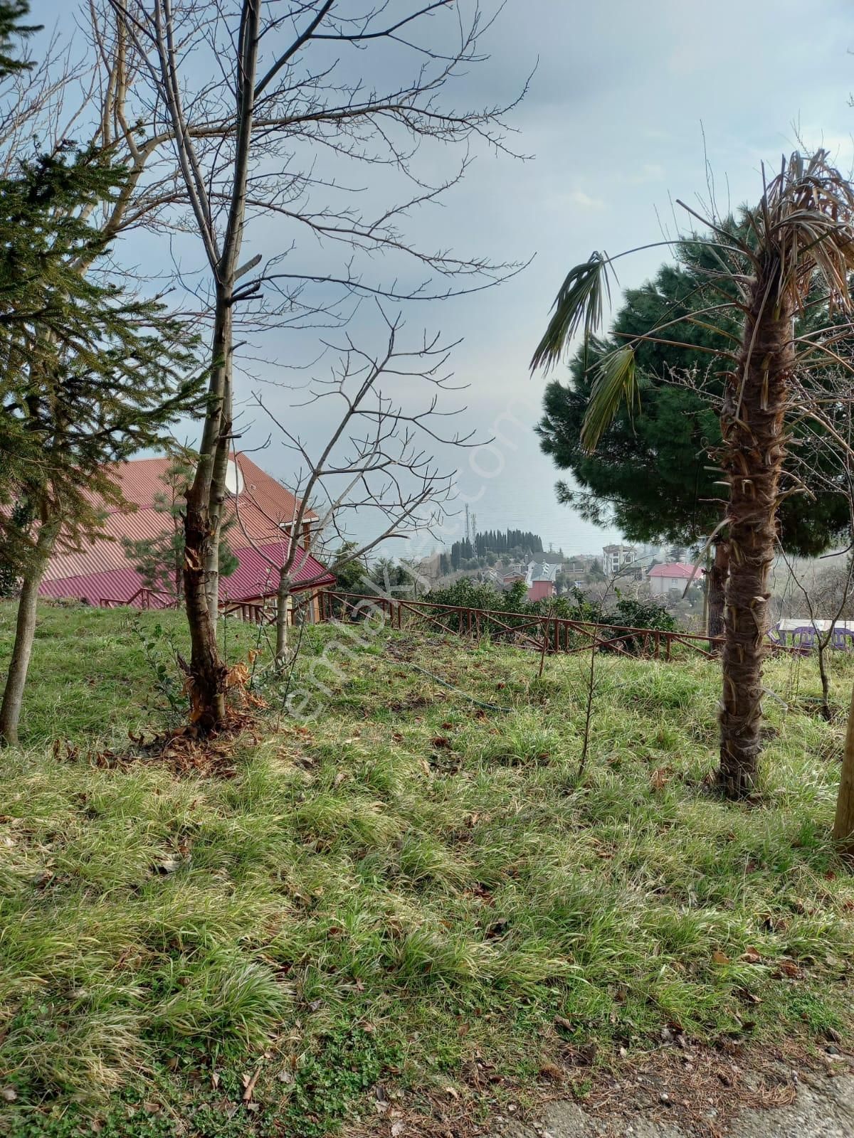 Trabzon Akçaabat Salacıkta Kiralık Eşyalı Bahçeli Ev - Görsel 13