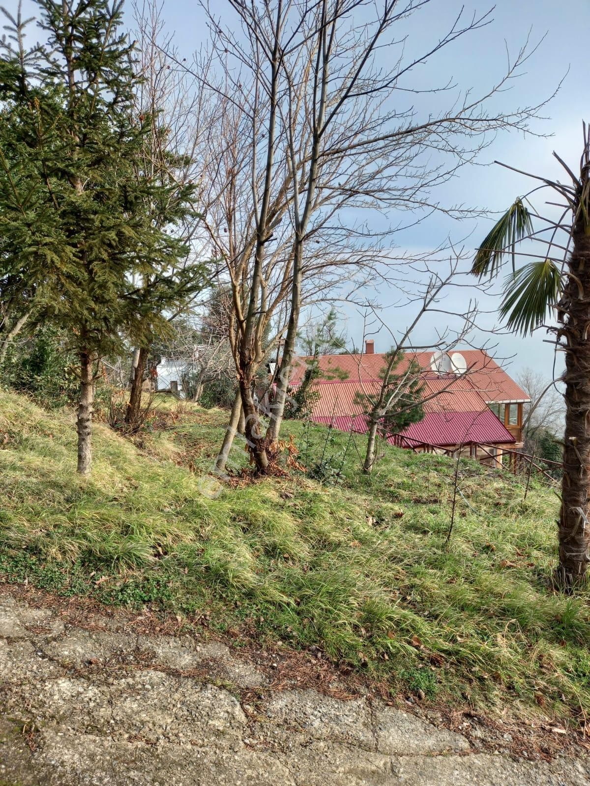 Trabzon Akçaabat Salacıkta Kiralık Eşyalı Bahçeli Ev - Görsel 16