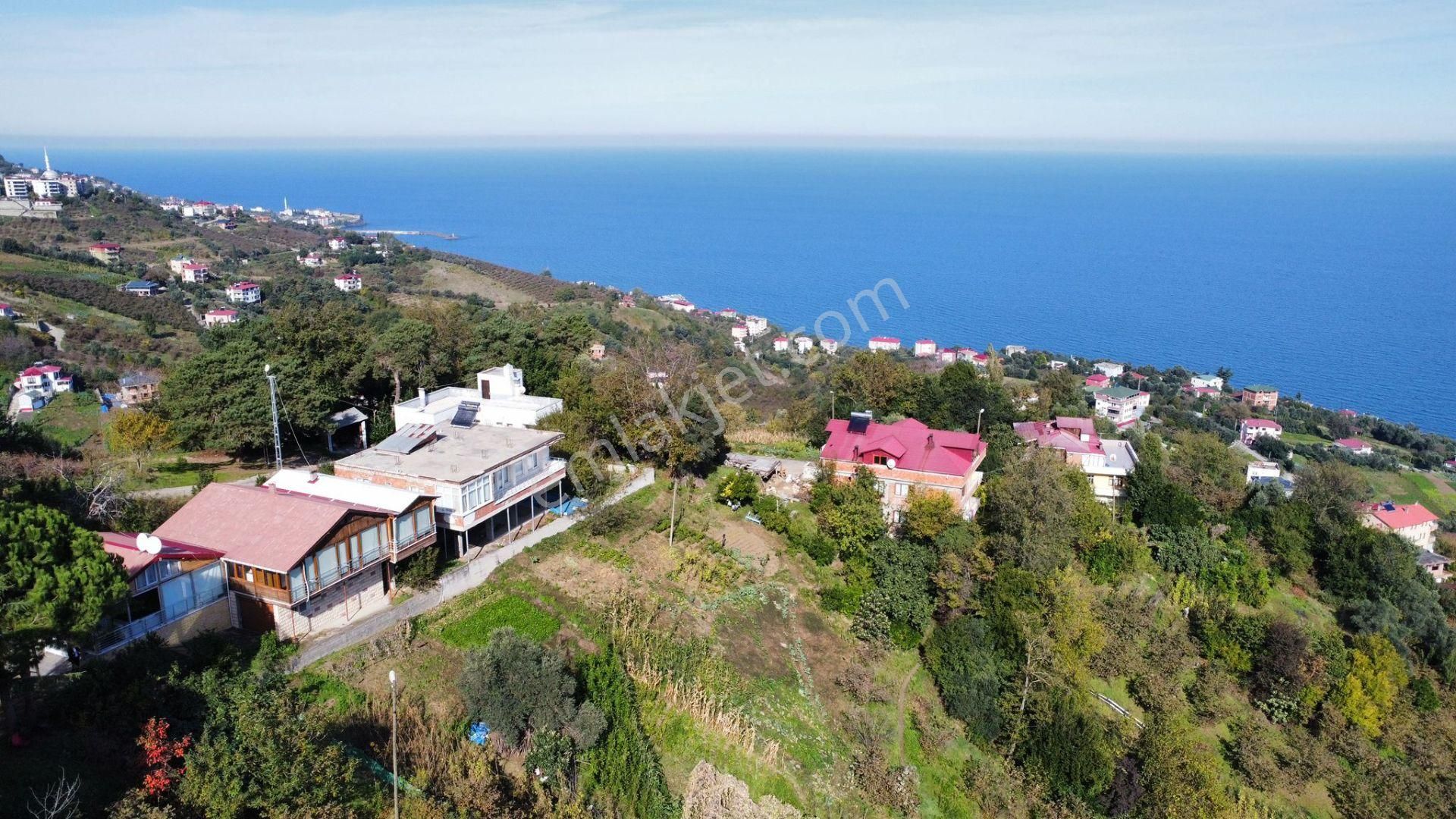 Trabzon Akçaabat Salacıkta Kiralık Eşyalı Bahçeli Ev - Görsel 6