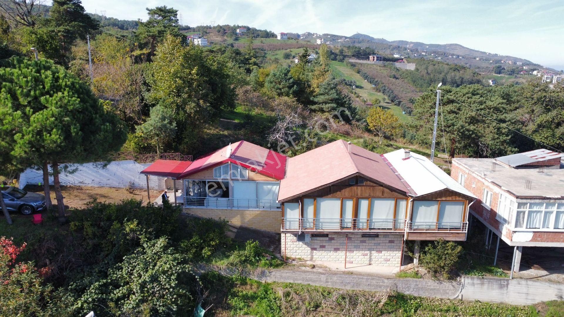 Trabzon Akçaabat Salacıkta Kiralık Eşyalı Bahçeli Ev - Görsel 5