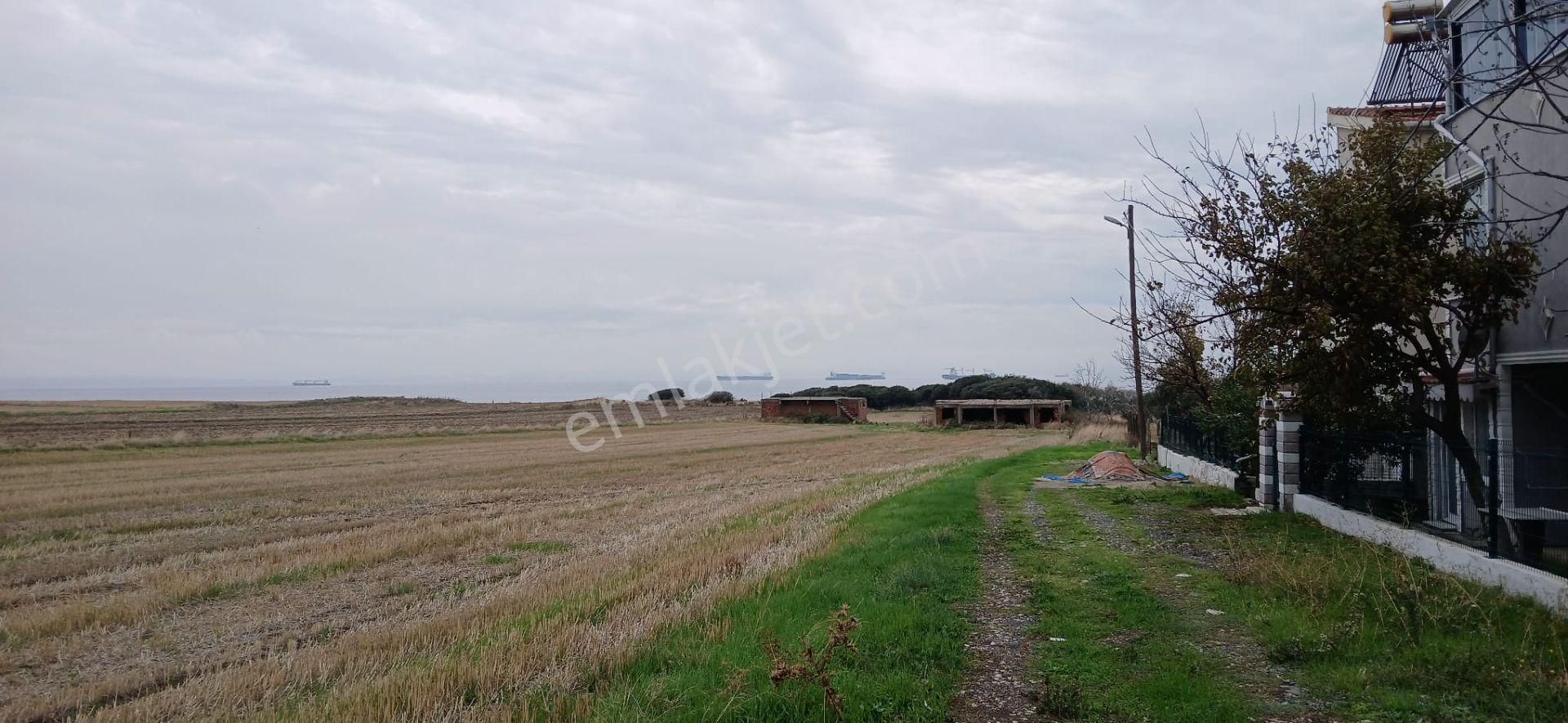 Tekirdağ Şarköy Kızılcaterzi Mh Site İçinde Müstakil Tripleks - Görsel 16