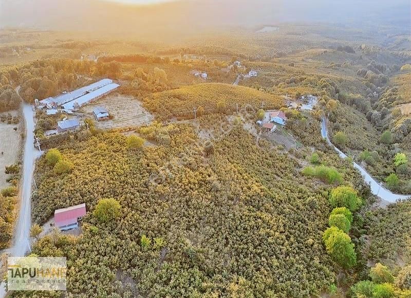 Tapuhane'den Harmantepe Mah. 15,980 M2 İmarlı Satılık Arsamız - Görsel 10