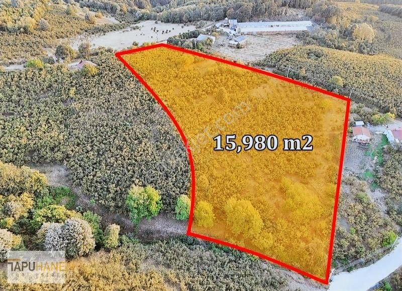 Tapuhane'den Harmantepe Mah. 15,980 M2 İmarlı Satılık Arsamız - Görsel 2