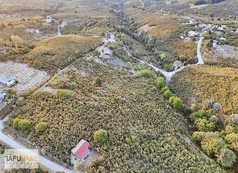 Tapuhane'den Harmantepe Mah. 15,980 M2 İmarlı Satılık Arsamız - Görsel 14