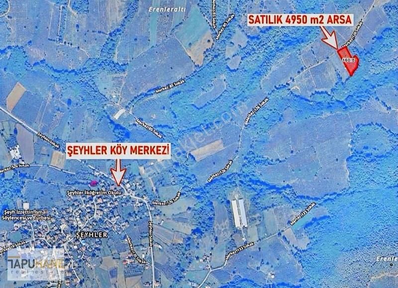 Tapuhane'den Şeyhlerde 4950 M2 Arazi - Görsel 2