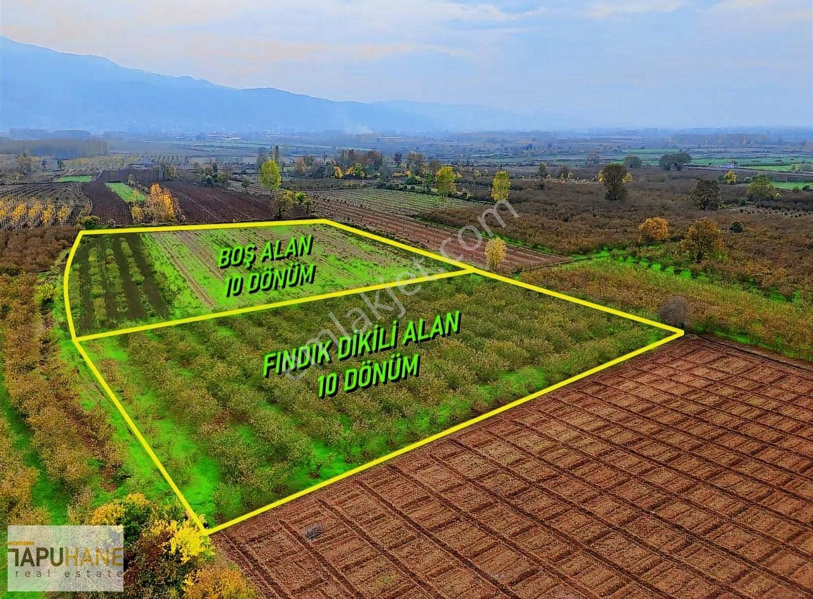 Tapuhaneden Puna'da 20 Dönüm Fındıklık - Görsel 2