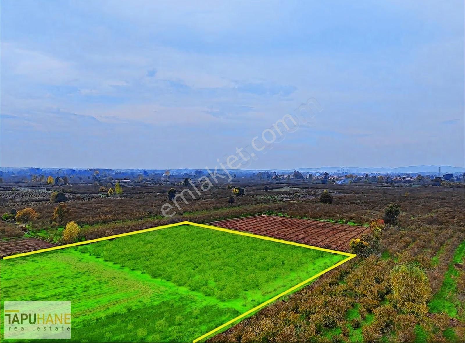 Tapuhaneden Puna'da 20 Dönüm Fındıklık - Görsel 3