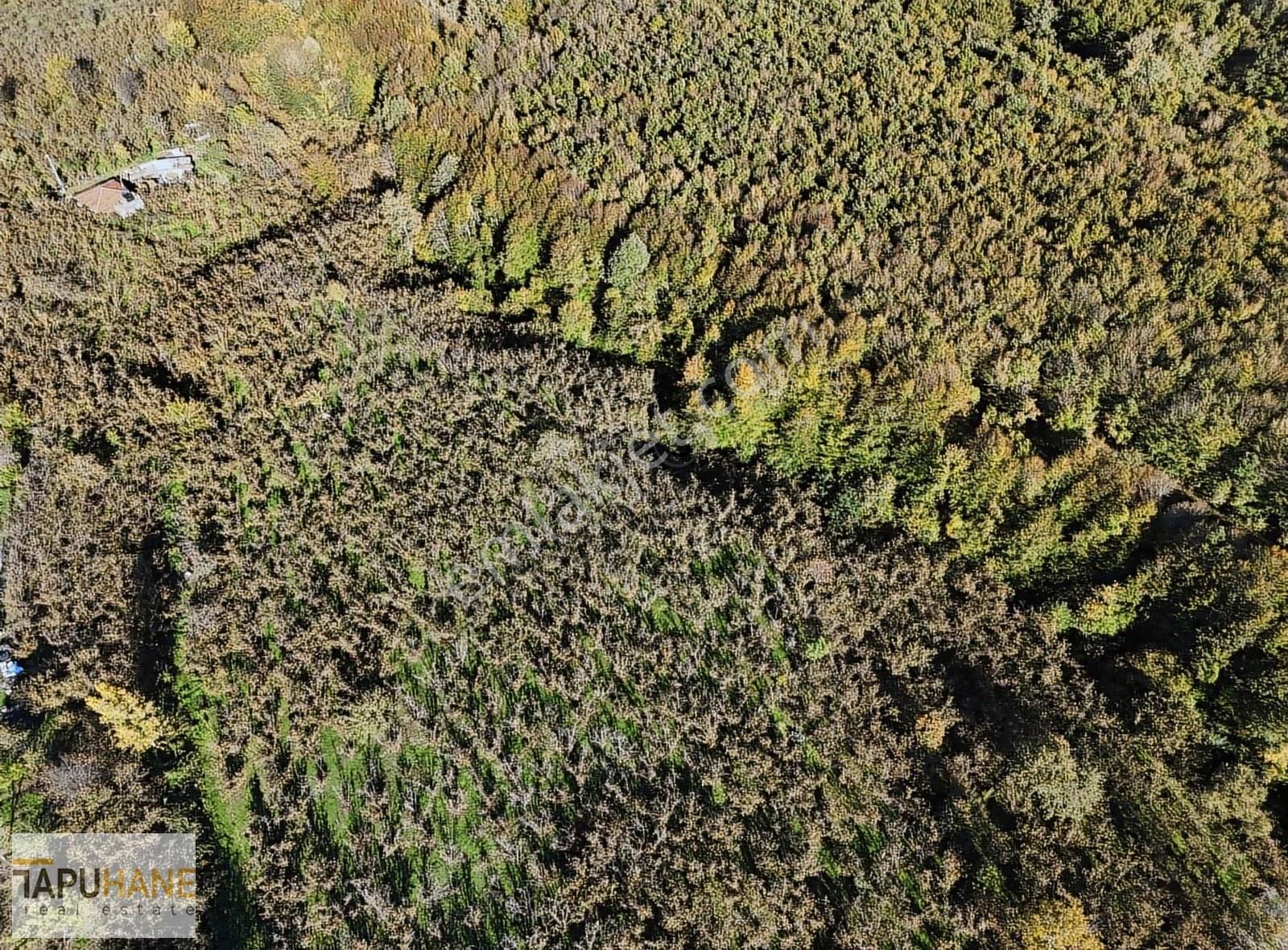 Tapuhane Den Satılık 1.501 M2 Tarla - Görsel 5