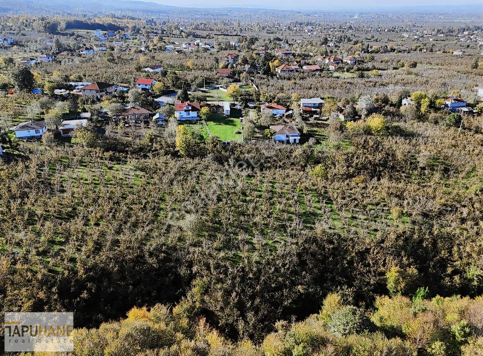 Tapuhane Den Satılık 1.501 M2 Tarla - Görsel 24