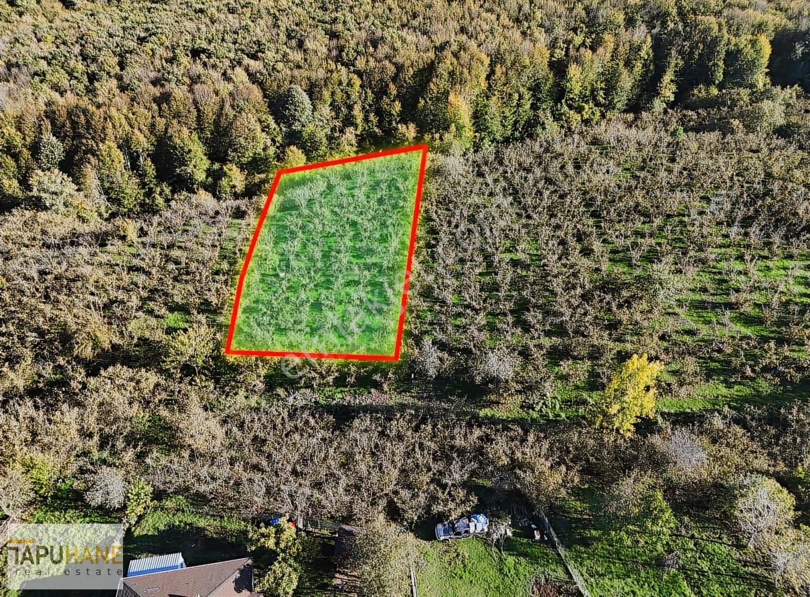 Tapuhane Den Satılık 1.501 M2 Tarla - Görsel 27