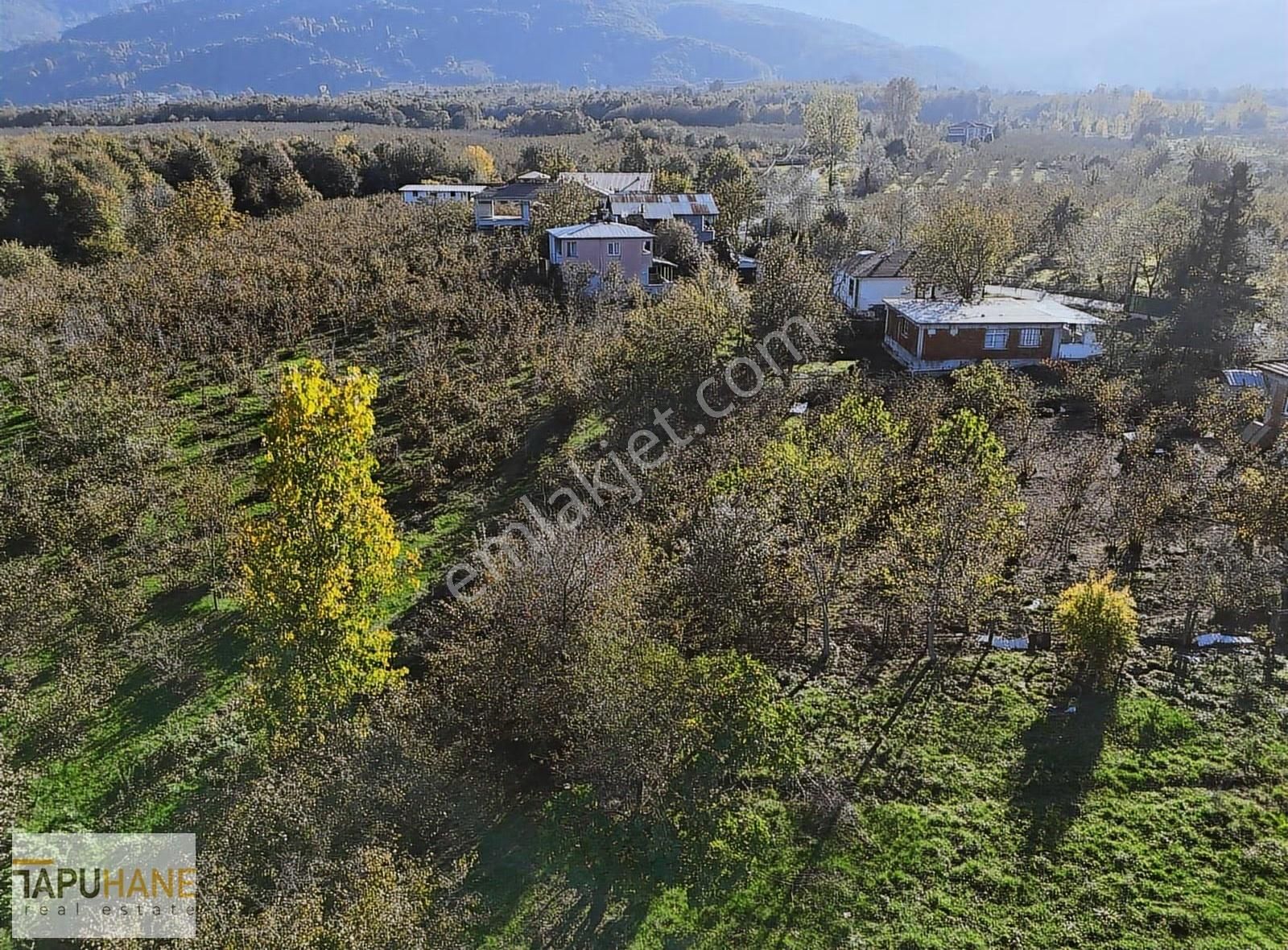 Tapuhane Den Satılık 1.501 M2 Tarla - Görsel 29