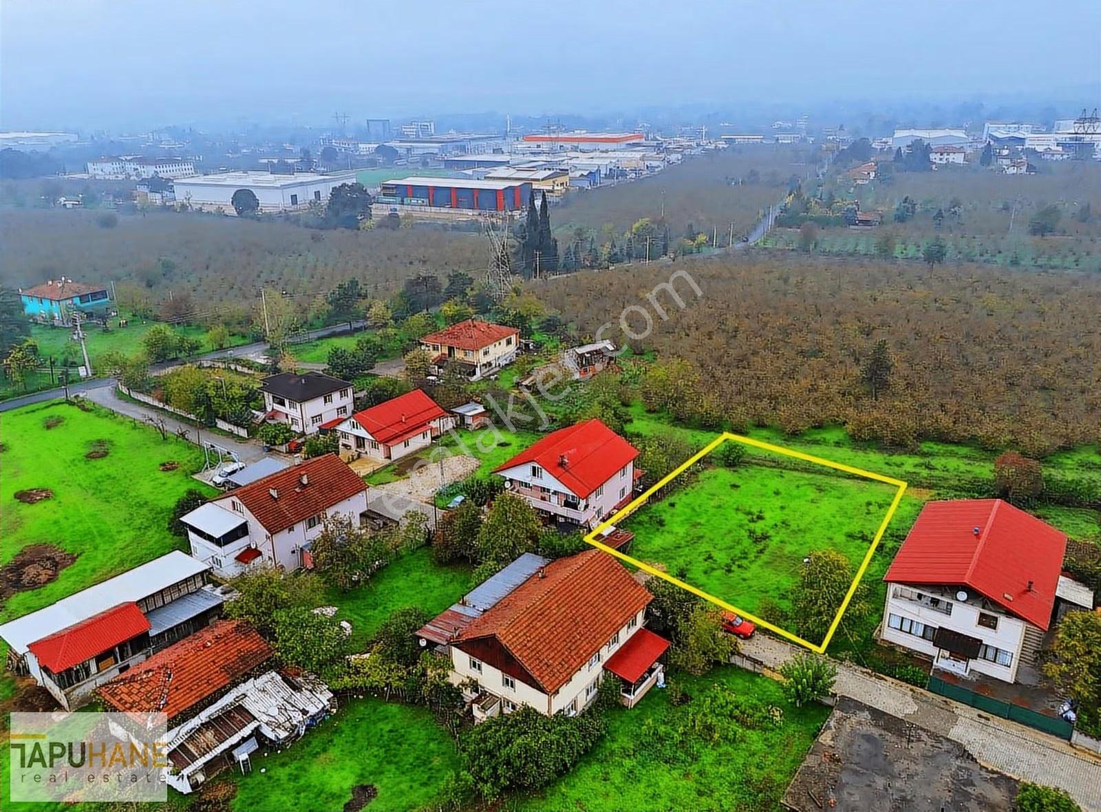 Tapuhaneden 800m2 %40 İmarlı Arsa - Görsel 2